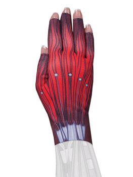 LympheDIVAS Cyborg Lymphoedema Glove