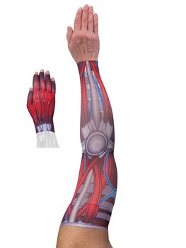 LympheDIVAS Cyborg Lymphoedema Sleeve and Glove Set